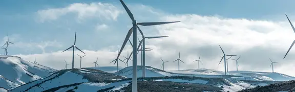 Nordic Innovators hjelper med å avklare hvilke støtteprogrammer hos Enova som passer, og hvordan planer og prosjektbeskrivelse best bør utformes for å treffe evalueringskriteriene til Enova.